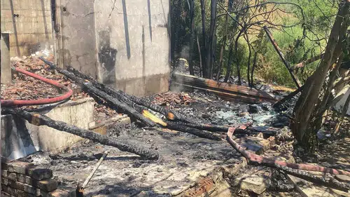 Böyle canilik görülmedi: Güvercinleri yaktılar