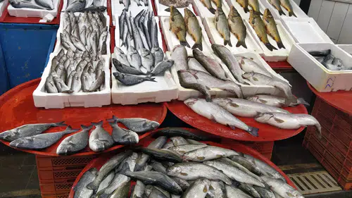 Konyalı vatandaşlar balık için sıraya girdi: Hafta sonu akına uğradı