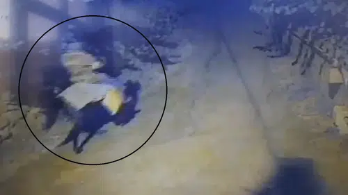 Yaşlı çifti öldüren atlı katil böyle görüntülendi
