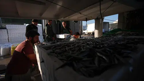 Maaş 80 bin TL'ye çıktı: Çalışacak kimse gelmiyor