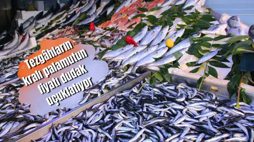 Tezgâhların kralı palamutun fiyatı dudak uçuklatıyor