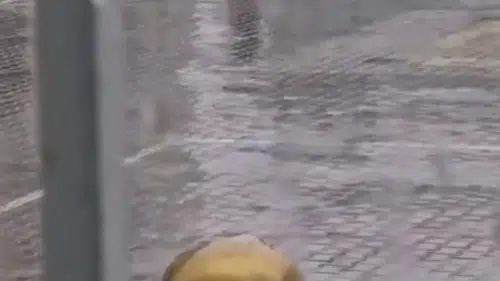 Tek başına ve yağmur altında: O öğrenci herkesi gururlandırdı