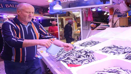 Palamut yok hamsi verelim: Balık tezgâhlarında hamsi bereketi