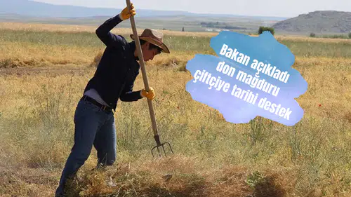 Bakan açıkladı don mağduru çiftçiye tarihi destek