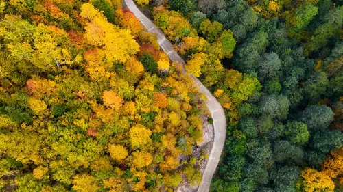 Doğal müze Örümcek Ormanları’nda renklerin muhteşem dansı