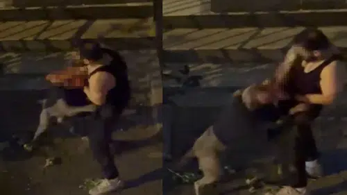 Pitbull cinsi köpek sahibine saldırdı: O anlar kamerada