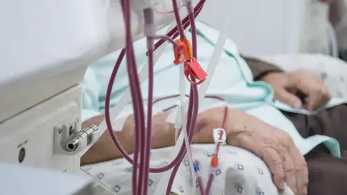 Organ naklinde devrim: Her kan grubuna uyan böbrek geliştirildi