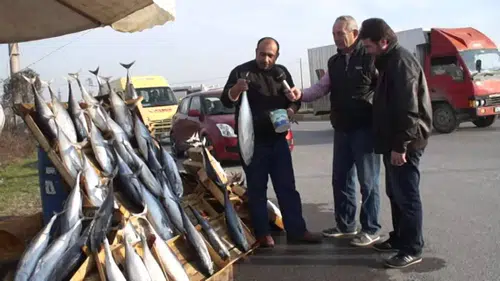 Fiyatlara yansıyacak mı? Dar gelirli sofrası için o haberi bekliyordu