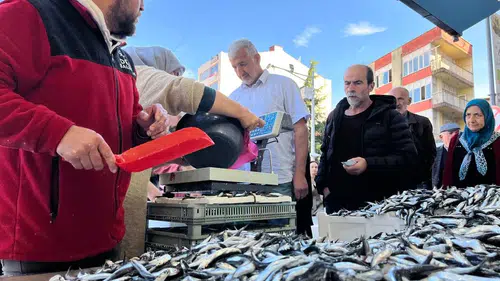 Ekmek fiyatına hamsi: 2 kilodan fazla alamıyorsun