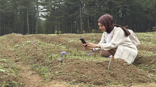 Kilosu 600 bin lira: Bu insanlar onu ancak fotoğraflayabiliyorlar