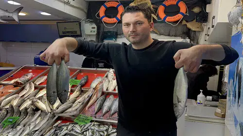 Lüfer de bu yıl bolluk var: Fiyatı ise biraz pahalı