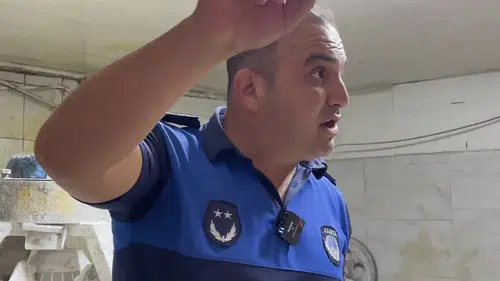 Sağlığı hiçe saydılar: Zabıta böcek çeşitlerini saymakla bitiremedi