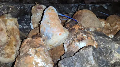 Konya'nın şifa deposu peynirleri olgunlaşıyor: Gökçeyurt'ta telaş var