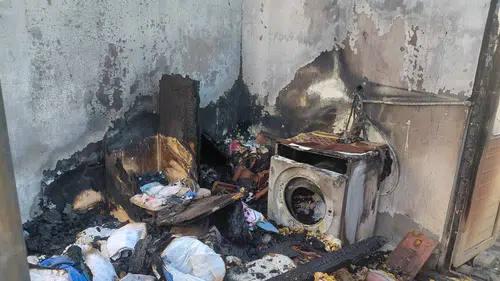 Hayvansever kadın ve 20 kedi: Her şey küle döndü