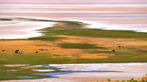 Kuraklık nedeniyle bulut aşılama çalışmaları yapılıyor