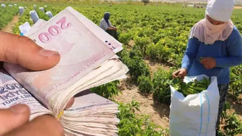 Konyalı çiftçilerin beklediği haber: 331 milyon liralık ödeme bugün yapılacak