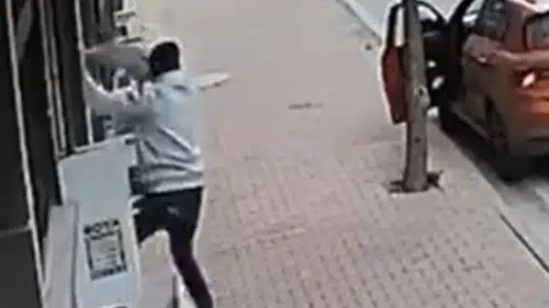 Balkona tırmanıp cins kediyi çaldı: O anlar kamera kayıttaydı