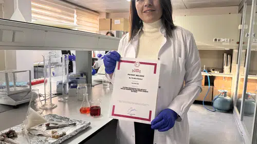 Balık taze mi değil mi: Artık elektronik burun devrede