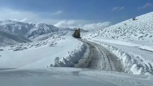 Bu şehirler beyaz bereketi karşıladı: Lapa lapa kar yağıyor