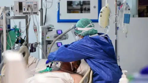 178 kişi ölmüştü: “Deli dana” hastalığı Ankara’dan sonra Bolu’da