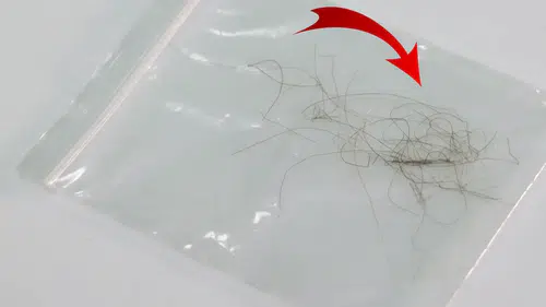 Okuldayken kesilmişti: Kral Charles'in saçı dudak uçuklatan fiyata satılıyor