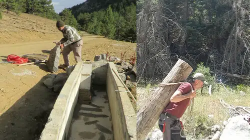 Konya’da kurdu kuşu susuz bırakmayan kahraman: Toroslar ona emanet