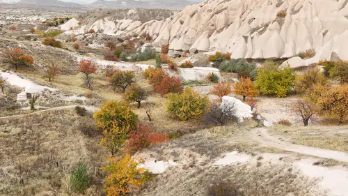 Kapadokya'da renk cümbüşü: Kartpostallık manzara