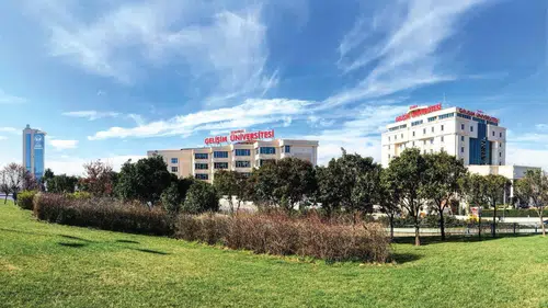 Onsuz yaşanmıyor ama: Ölüm nedenleri arasında üçüncü sırada