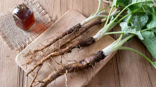 Konyalılar Dövülmüş Avrat'a yüklendi: Ağrılara iyi geliyor