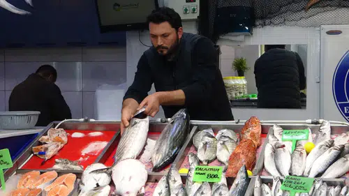 Tanesi 800 lira: Tezgâhların aranan balığı oldu