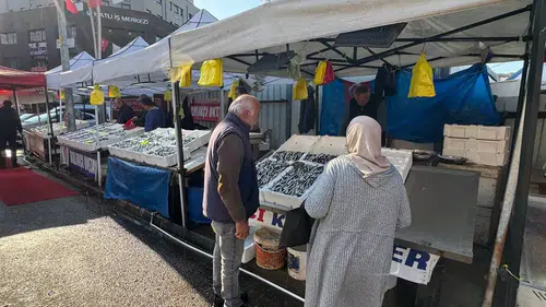 Hamsi Türkiye'ye palamut Gürcistan'a kaçtı: Balık tezgahlarında bayram var