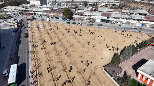 Konya'da fidan harekatı: 10 bin 400 metrekarelik yeni yeşil alan