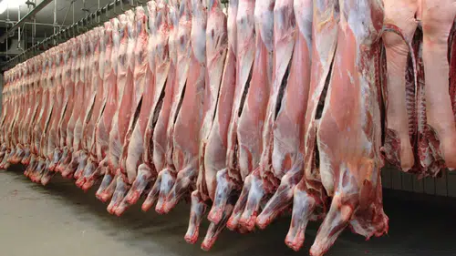 Kırmızı ette yükseliş sürüyor: Dana eti yüzde 12 zamlandı