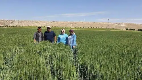 Binlerce Konyalı çiftçi için yeni dönem: 2026'da sistem tamamen değişiyor