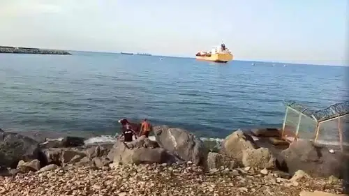 Gözlerine inanamadılar: Balıkçı ağına Angus takıldı