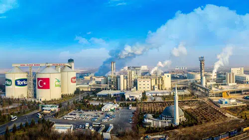 Konya'yı cercospora hastalığı vurdu: Çiftçilere 30 milyon TL'lik destek