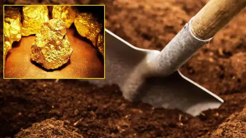 O şehirde 41 ton altın bulundu: Değeri en az 4 milyar dolar