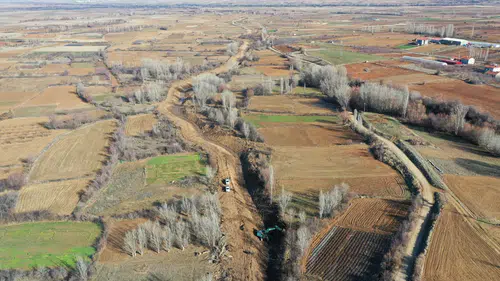 Konya'nın tarlaları merak uyandırdı: Yeşil karıncalar işbaşında