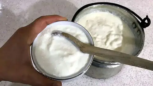 Yoğurdun suyu mu kaymağı mı: Şifa arayanlar için tartışmasız lezzet