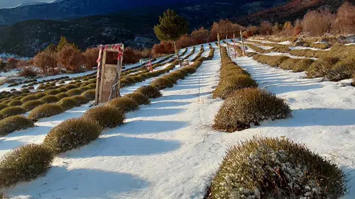 Konya'nın barajlarına can geldi: Son yağışlar şehre umut oldu