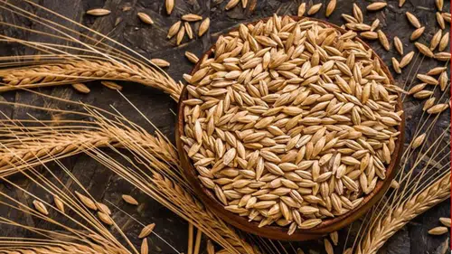 Kuraklık, Anadolu'daki çiftçileri arpa ekimine yöneltti