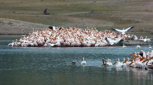 Konya'nın soğuk sularıyla meşhur barajı yenilenecek: Düğmeye basıldı