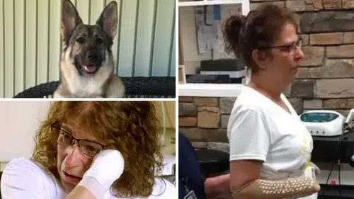 Evinde kedi ve köpek besleyenler dikkat: Genç kadının kol ve bacaklarını kestiler