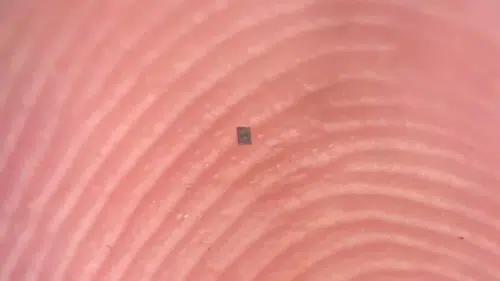 Kum tanesinden bile küçük robot üretildi: Kullanılacağı yerler inanılmaz