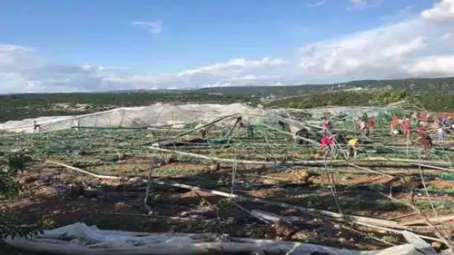 Yıktı geçti: Hortum nedeniyle seralar hasar gördü