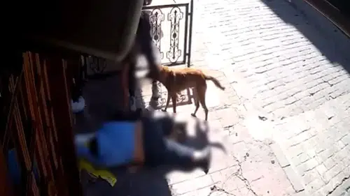 "İnsanlık ölmüş" dedirten olay: Sara nöbeti geçen adamın her şeyini çaldılar