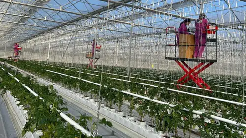 Konut ısıtma, termal turizm ve seracılık: Konya'da  jeotermal potansiyel