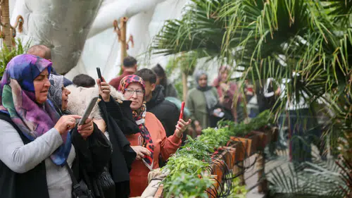 Selçuklu'da Şeb-i Arus yoğunluğu: Sembol mekanlar doldu taştı