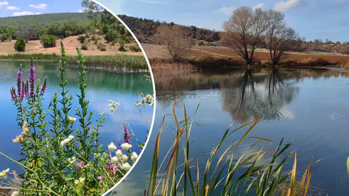 Konya'nın sırtını Sultan'a yaslamış gizemli mahallesi: Mahmuthisar