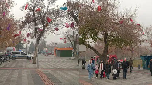 Konya'nın merkezinde dikkat çeken fotoğraflar: Dilek ağacı mı var?